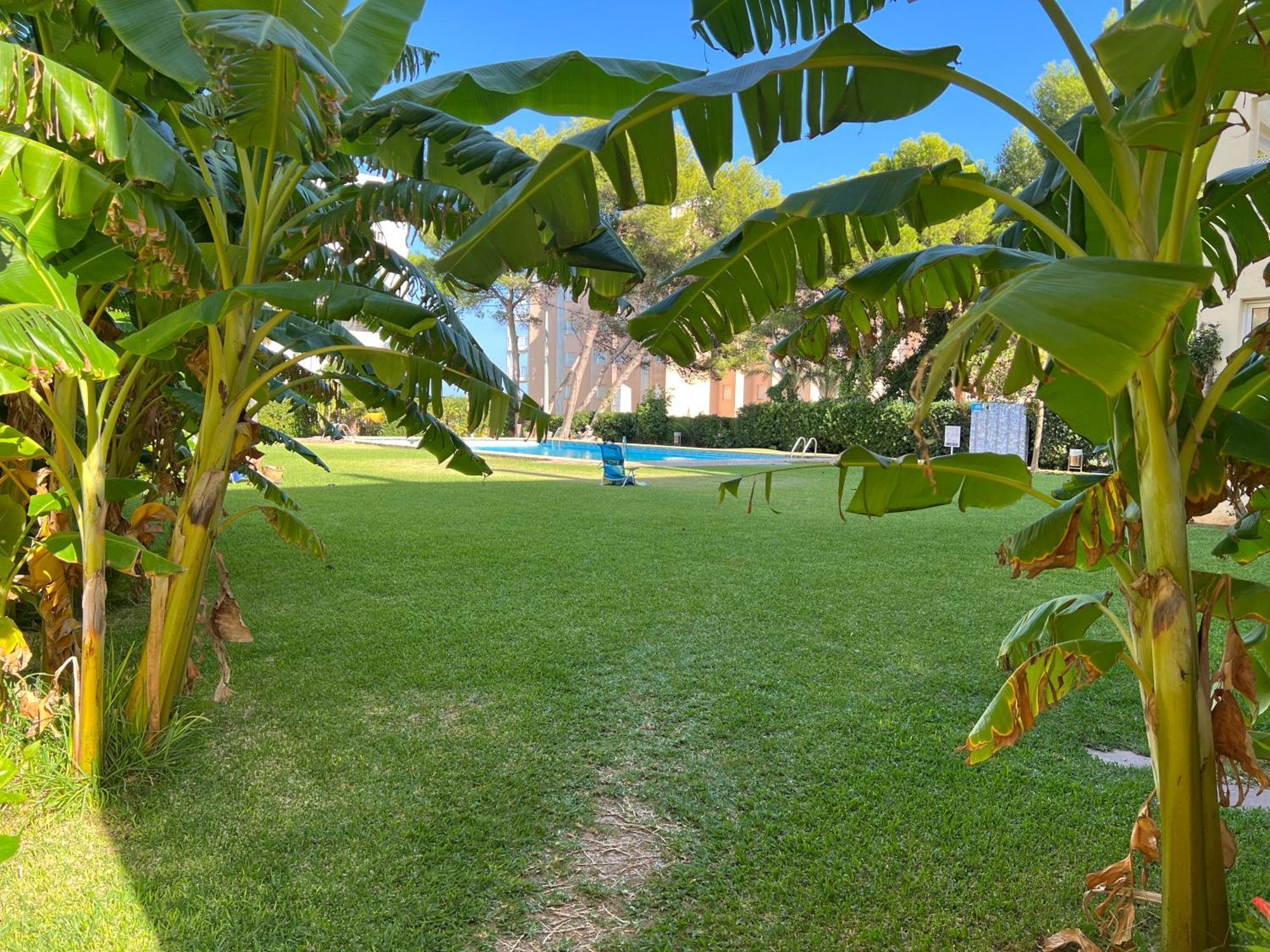 ACOGEDOR Y PRECIOSO ÁTICO EN JAVEA Primera línea playa Exterior foto