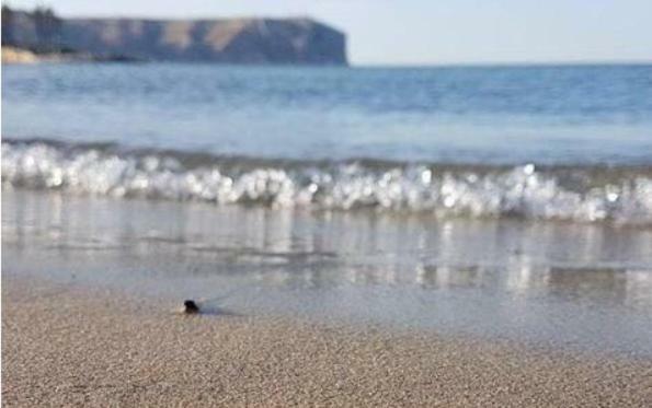 ACOGEDOR Y PRECIOSO ÁTICO EN JAVEA Primera línea playa Exterior foto
